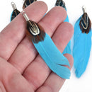 10 TURQUOISE BLUE Real Feather Charms with silver bail 2.5" long, chs4280