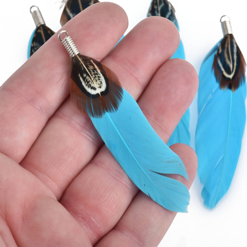 10 TURQUOISE BLUE Real Feather Charms with silver bail 2.5" long, chs4280