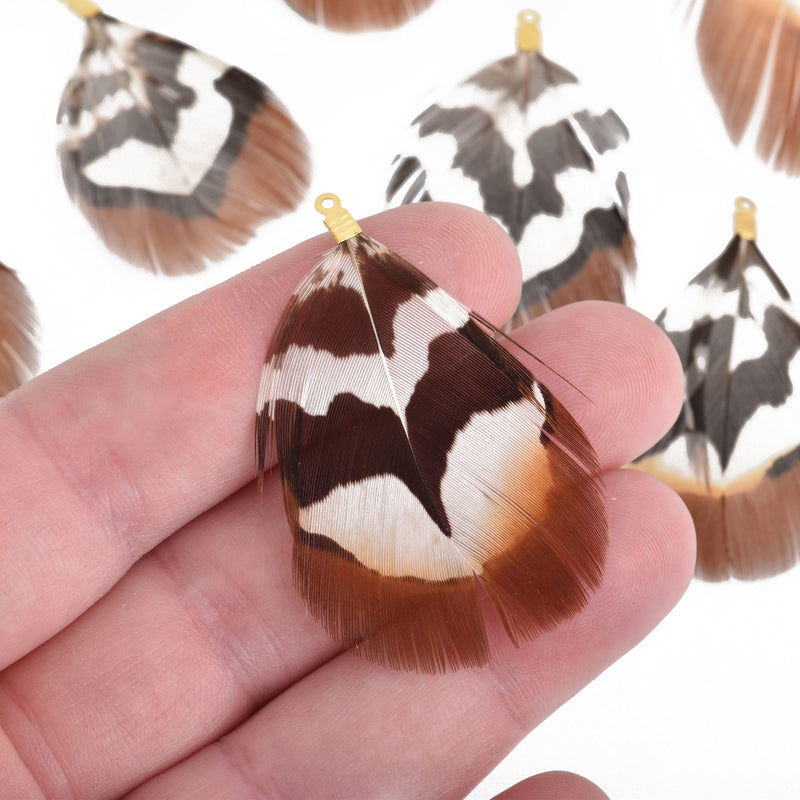 10 Brown Feather Charms with gold bail 1.75" long, chs4309