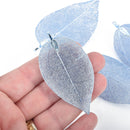 2 Real Leaf Charms LIGHT BLUE 2.5" to 3" long chs4577