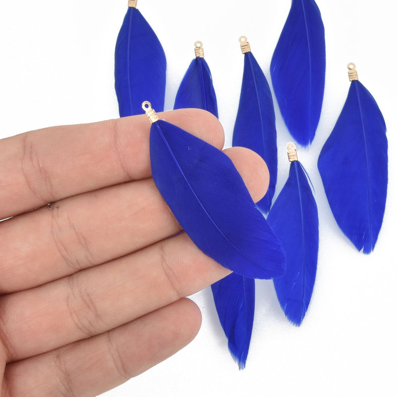 20 ROYAL BLUE Real Feather Charms with gold bail 2" to 2.5" long, chs4717