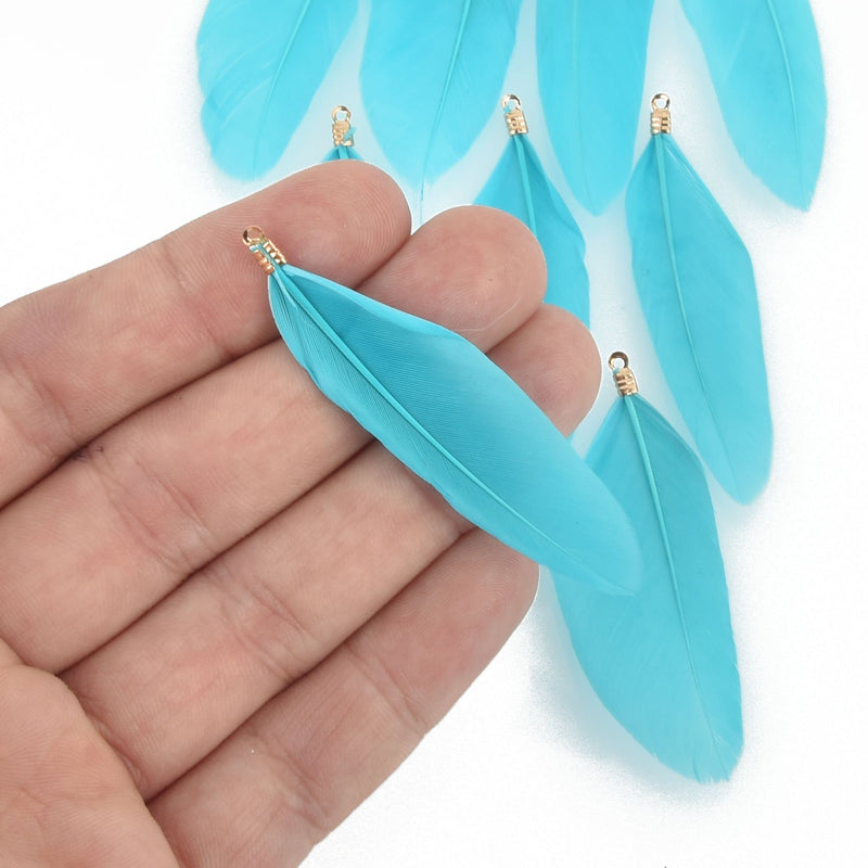 20 TURQUOISE BLUE Real Feather Charms with gold bail 2" to 2.5" long, chs4718