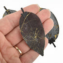 2 Real Leaf Charms BLACK with GOLD streaks 2.5" to 3" long chs4956