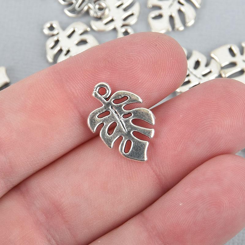 10 Silver Monstera Leaf Charms 20mm chs5021a