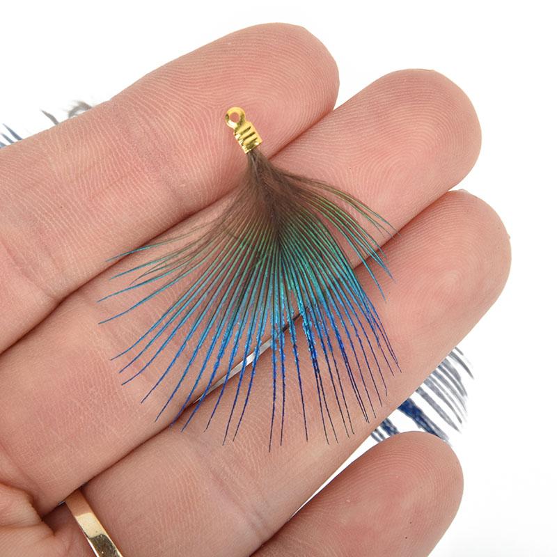 5 Peacock Feather Charms, Gold Loop Bail about 1.75" long chs5080