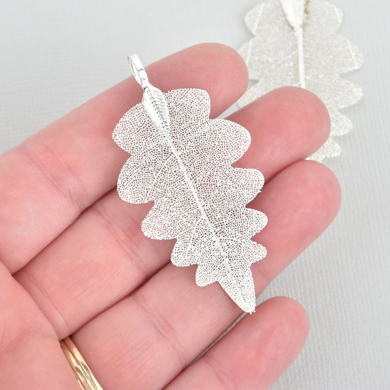 2 Real Leaf Charms SILVER Oak Leaves 2.25" to 2.5" long chs5305