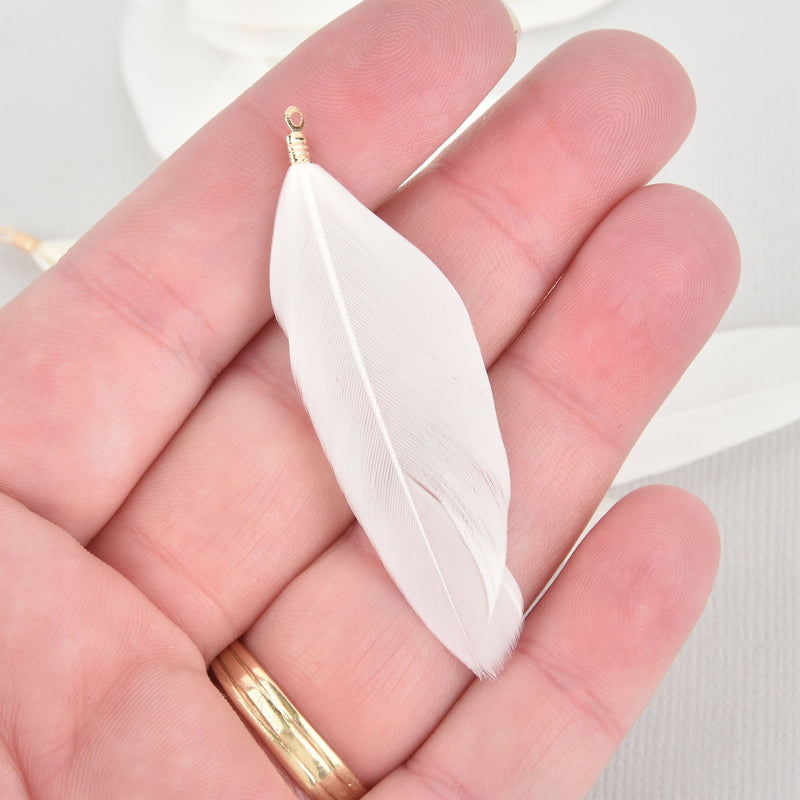 20 WHITE Real Feather Charms with gold plated bail 2" to 2.5" long chs5495