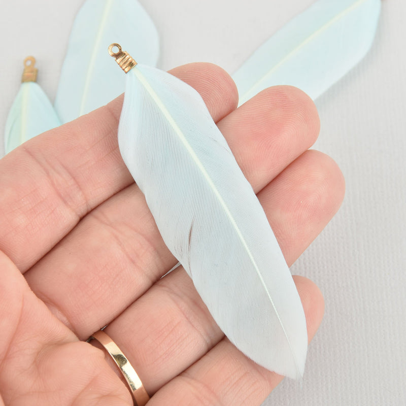 20 LIGHT BLUE Real Feather Charms Goose feathers with gold bail 3" long, chs5638
