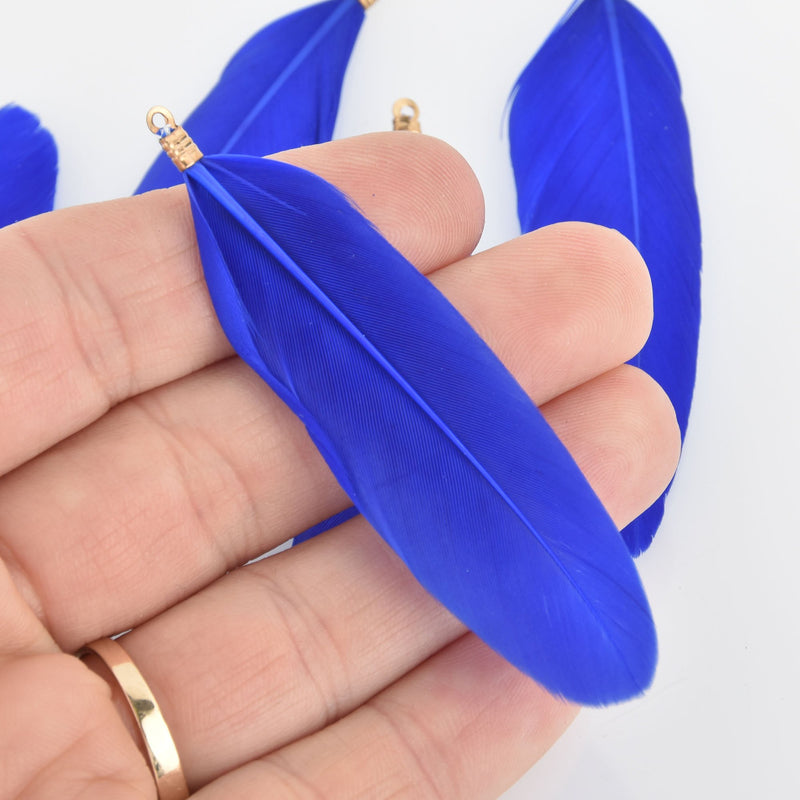 20 ROYAL BLUE Real Feather Charms Goose feathers with gold bail 3" long, chs5643