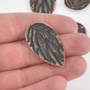 5 Copper Leaf Charms, Blue Verdigris Patina, 1.5" long, chs5688