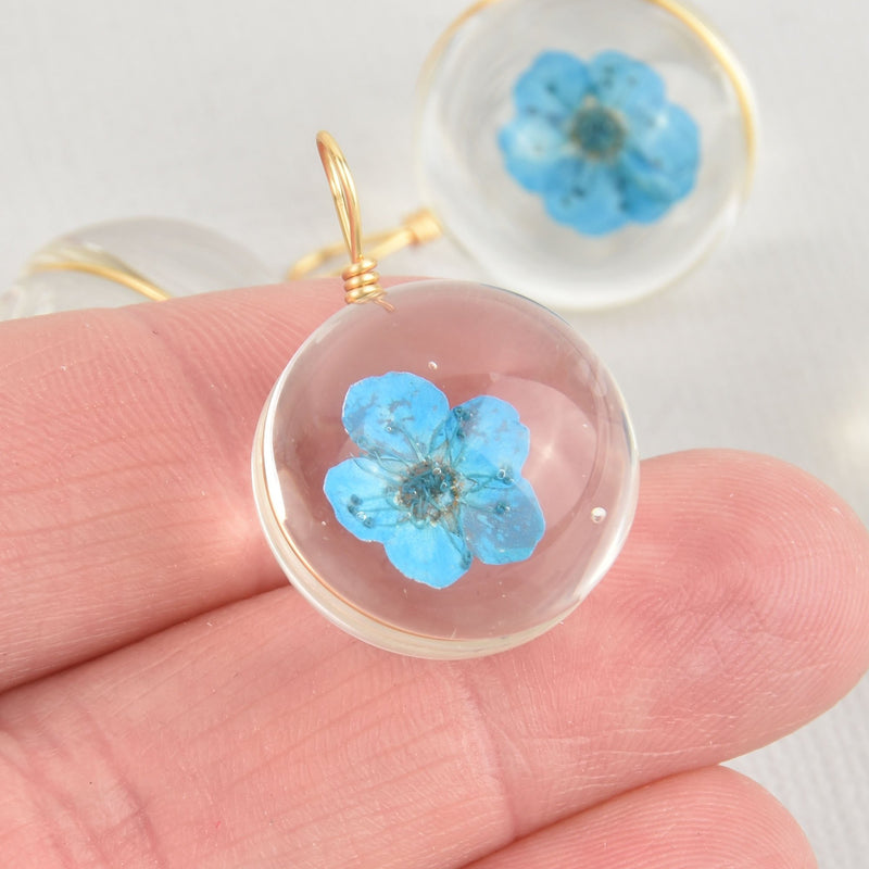 2 Blue Pressed Flower Globe charms Glass with real flowers 20mm chs5895