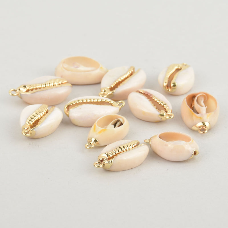 2 Natural Sea Shell Charms with gold plating, white seashell, chs6163