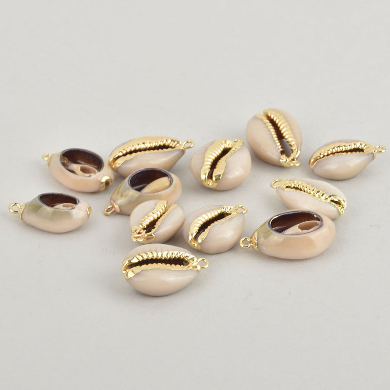 2 Natural Sea Shell Charms with gold plating, white seashell, chs6164