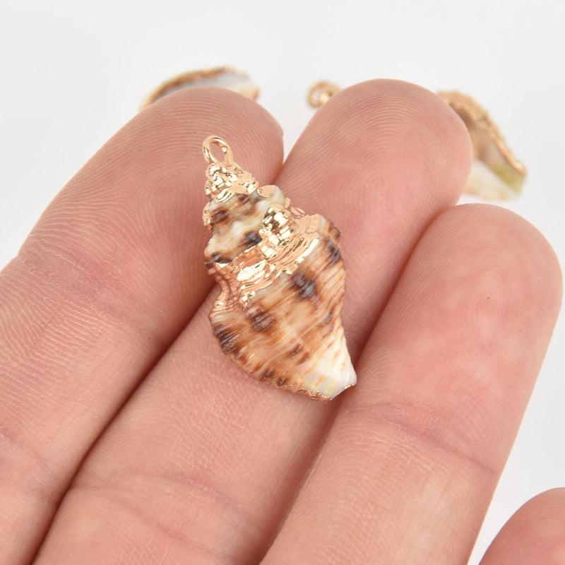 2 Natural Sea Shell Charms with gold plating, seashell, chs6210