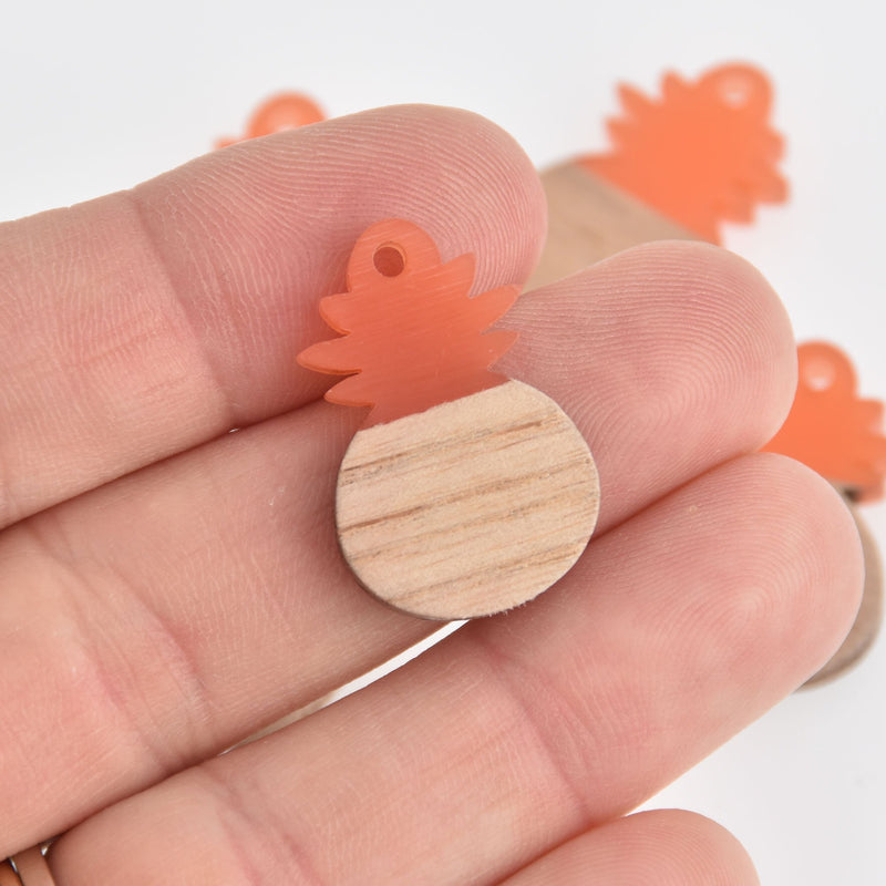 2 Pineapple Charms, Coral Resin and Real Wood, 27mm long, chs6732