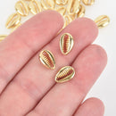 10 Gold SEASHELL Charms Cowrie Shell Coffee Bean Shells 12mm chs6774