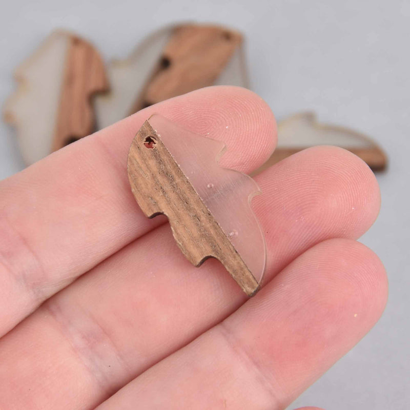 2 Leaf Charms, Clear Resin and Real Wood, 1-1/4" long, chs7422