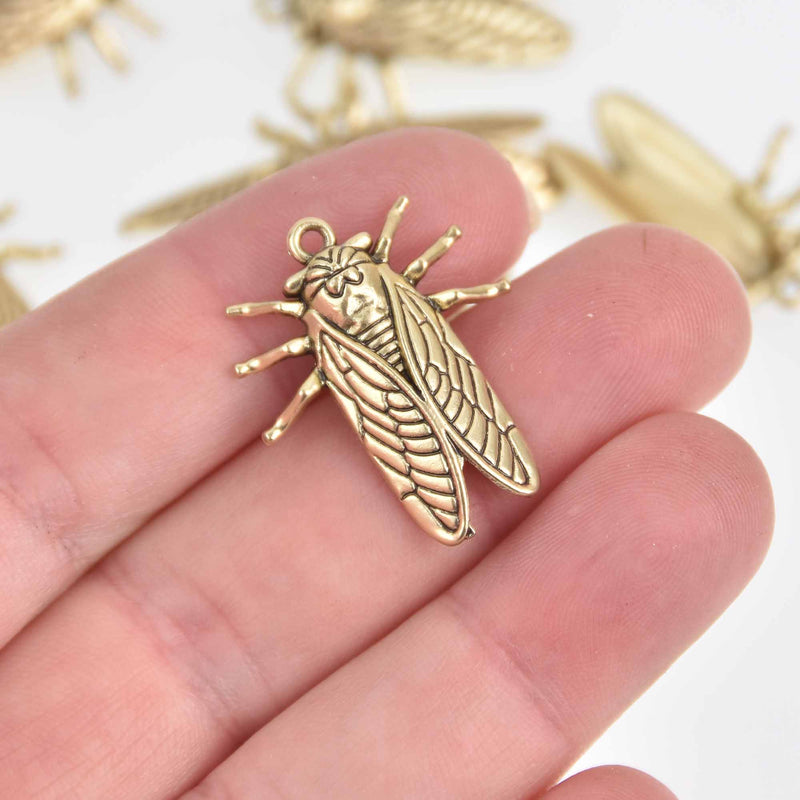 5 CICADA INSECT Charms Matte Gold Bug Charms, 27x22mm chs7543