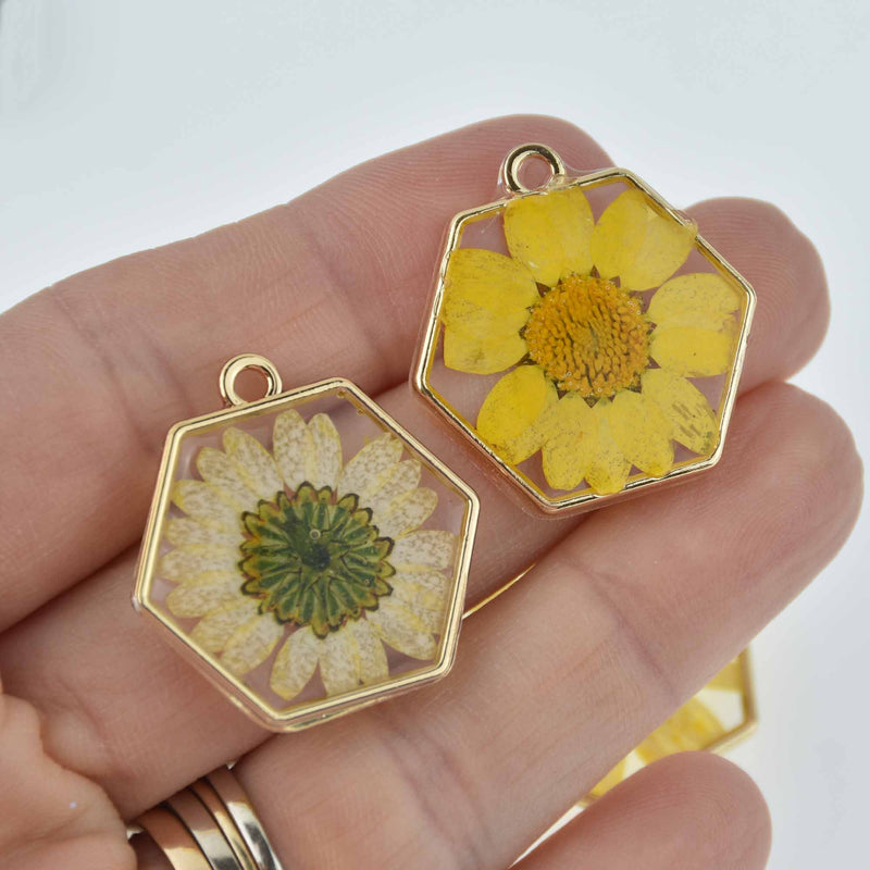 2 Pressed Flower Gold Hex Charms, Resin with real flowers, 28mm, chs7709