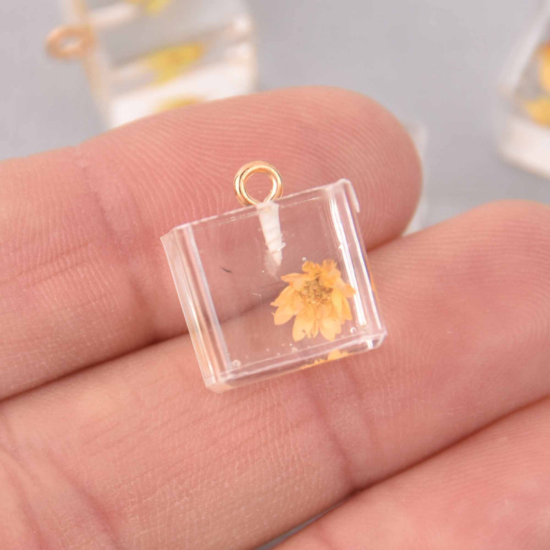 2 Golden Yellow Pressed Flower Cube Charms, Clear resin with dried flower, 14mm, chs7749