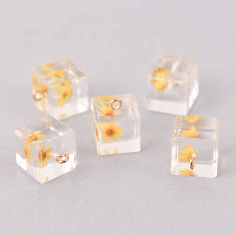 2 Golden Yellow Pressed Flower Cube Charms, Clear resin with dried flower, 14mm, chs7749