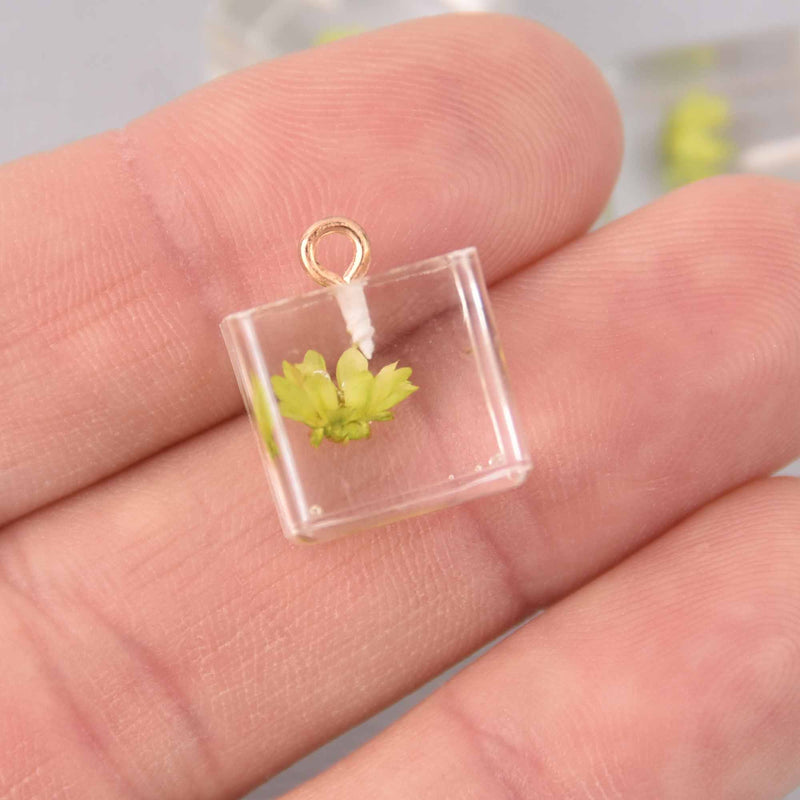 2 Lime Green Pressed Flower Cube Charms, Clear resin with dried flower, 14mm, chs7752