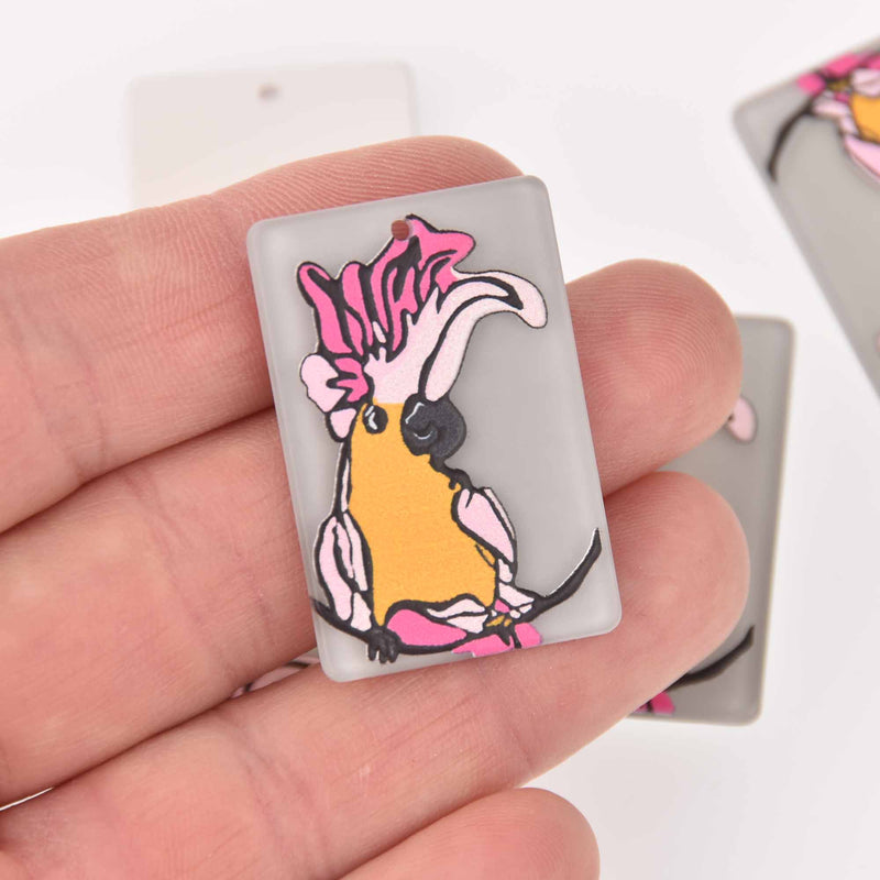 2 Bird Charms, Toucan on Acrylic, 37mm, chs7866