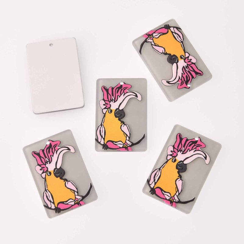 2 Bird Charms, Toucan on Acrylic, 37mm, chs7866