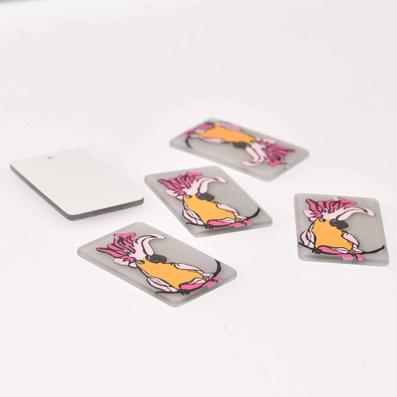 2 Bird Charms, Toucan on Acrylic, 37mm, chs7866