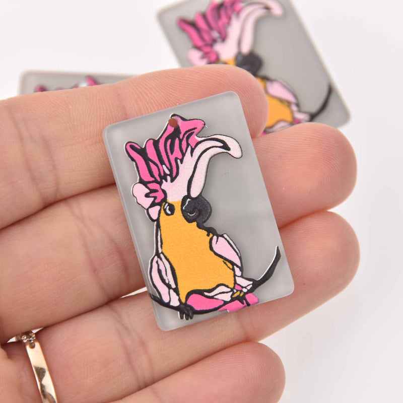 2 Bird Charms, Toucan on Acrylic, 37mm, chs7866