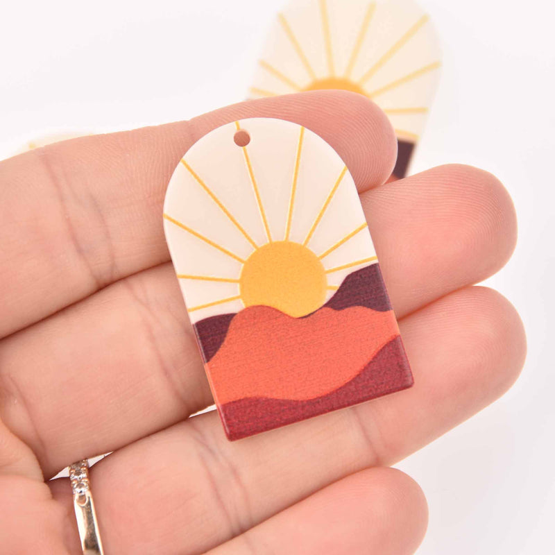 2 Charms, Resin Acrylic, 37mm, chs7870