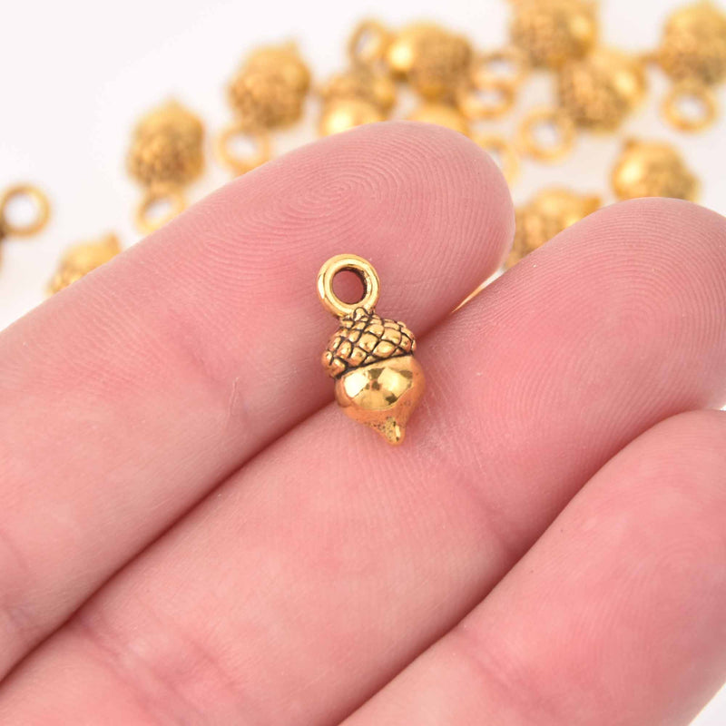 10 Gold Acorn Charms, 14mm, chs7963