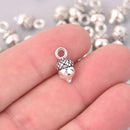 10 Silver Acorn Charms, 14mm, chs7964