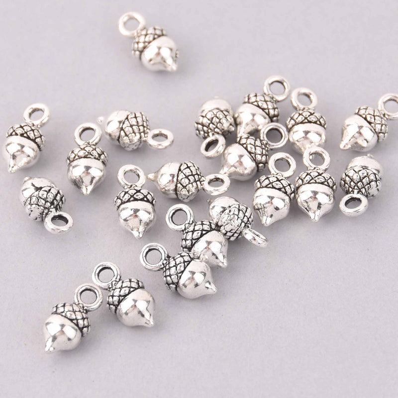 10 Silver Acorn Charms, 14mm, chs7964