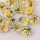 2 Yellow Pressed Flower Charms, Silver Loop with Glass, Real Flowers chs8016