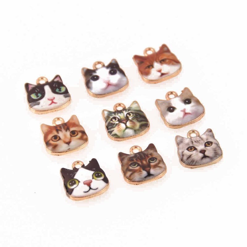 Cat Face Charm Collection, chs8246