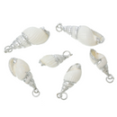 5 Natural SILVER CONCH SEASHELL Charms, silver plated, white/offwhite/cream sea shell, about 0.75" to 1.25" long, cho0169