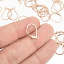 10 Rose Gold STAINLESS STEEL Metal Lever Back Earrings Ear Wires (5 pairs) fin0801