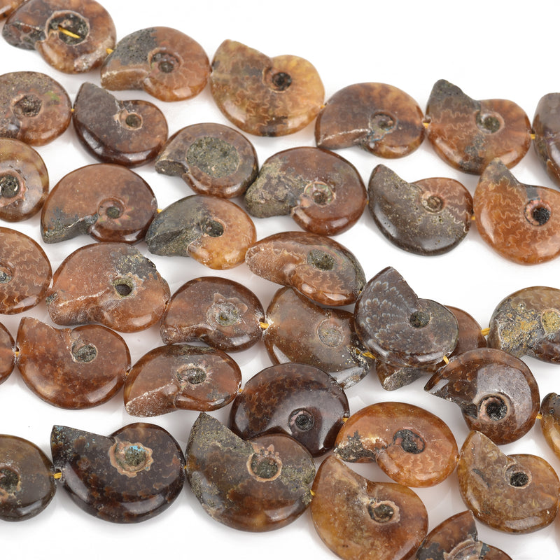 18mm-22mm Natural AMMONITE FOSSIL Beads, Natural Gemstone Beads, 21-24 beads, gaf0010
