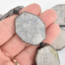 2 CORAL FOSSIL STONE Gemstone Beads Octagon Gunmetal Bezel 40mm gem0297