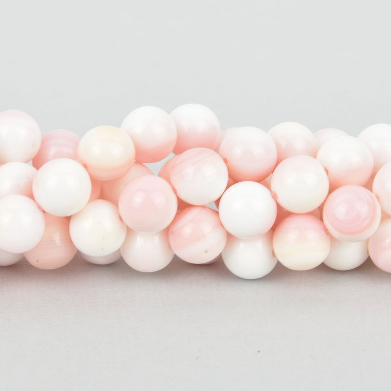 8mm Round PINK CONCH SHELL Beads, strand, 50 beads, gem0336