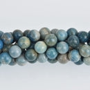 8mm Blue Fossil Stone Beads, round smooth, full strand, Natural Gemstones gem0511
