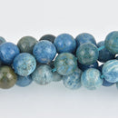 12mm Blue Fossil Stone Beads, round smooth, full strand, Natural Gemstones gem0513