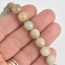 10mm Aqua Terra Jasper Beads, Round Electroplate Gemstone, Faceted, x10 beads, gem0519