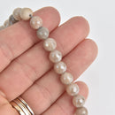 8mm LACE AGATE Round Beads, champagne white faceted gemstones, full strand, gem0641