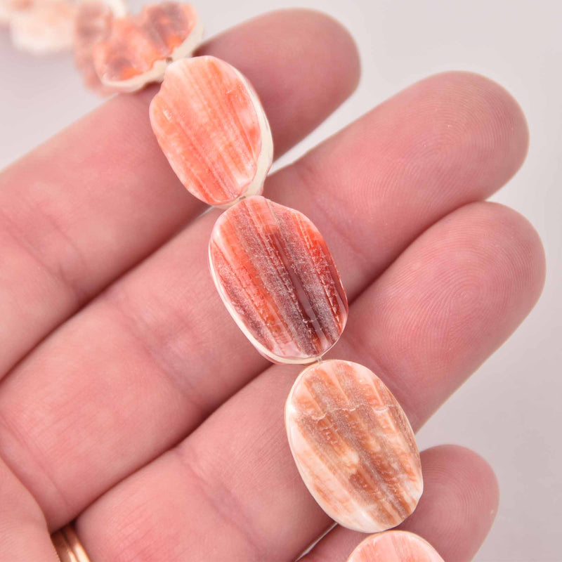 20mm Shell Oval Beads, Orange Pectin Shell, 4 beads, gem0768