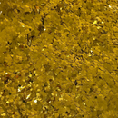 GOLD DIGGER Gold Chunky Glitter, GLT0015