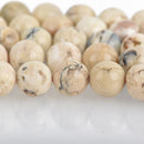 10mm AFRICAN OPAL Beads, round, natural gemstones, full strand, about 39 beads, gms0058