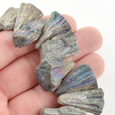 RAINBOW PYRITE Fools Gold Gemstone Beads, Sunburst Triangle Shape, focal pendant beads, full strand, gpy0013