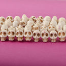 12mm WHITE Howlite Skull Beads, Drilled Sideways, full strand, about 40 beads, how0670